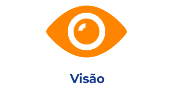 visão
